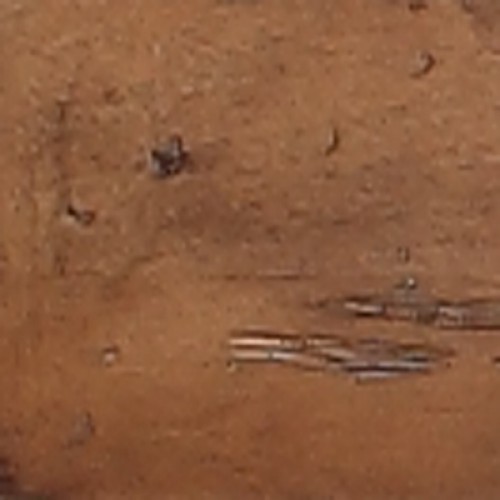 500-W60SD-HON 60" Malibu Wood Top Malibu  Honey Alder