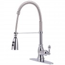 UF12200 (Chrome) "Signature Collection" Single-Handle Kitchen Faucet With Spring Spout