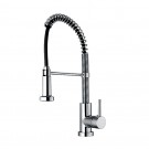 WHI-WH2070079-C Jem Collection commercial single hole faucet with flexible spout, pull down spray head, swivel support bar, and lever handle
