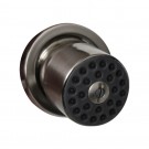 614.828SH-P Blairhaus Washington pressure balance valve with showerhead and crown-shaped turn handle