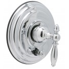 WY8910-01 - Chrome