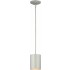 V9605-20 1-light Silver Grey Outdoor Pendant