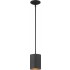 V9605-5 1-light Black Outdoor Pendant