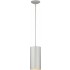 V9606-20 1-light Silver Grey Outdoor Pendant